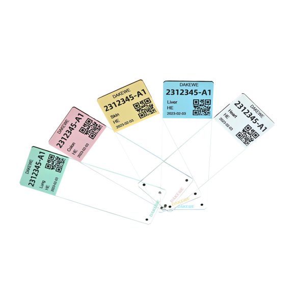 S10 Tárgylemezíró
